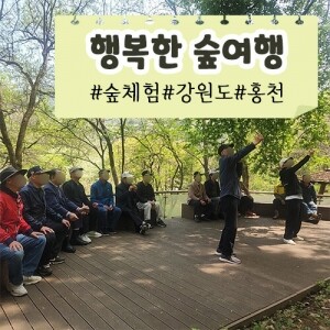 [행복한 숲여행] 숲체험ㅣ강원도ㅣ홍천군