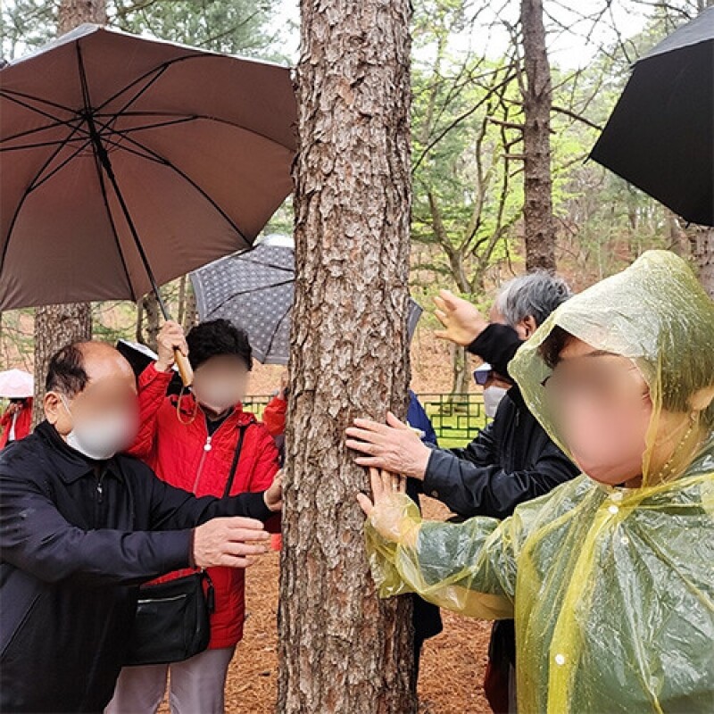 약리원,[행복한 숲여행] 숲체험ㅣ강원도ㅣ홍천군