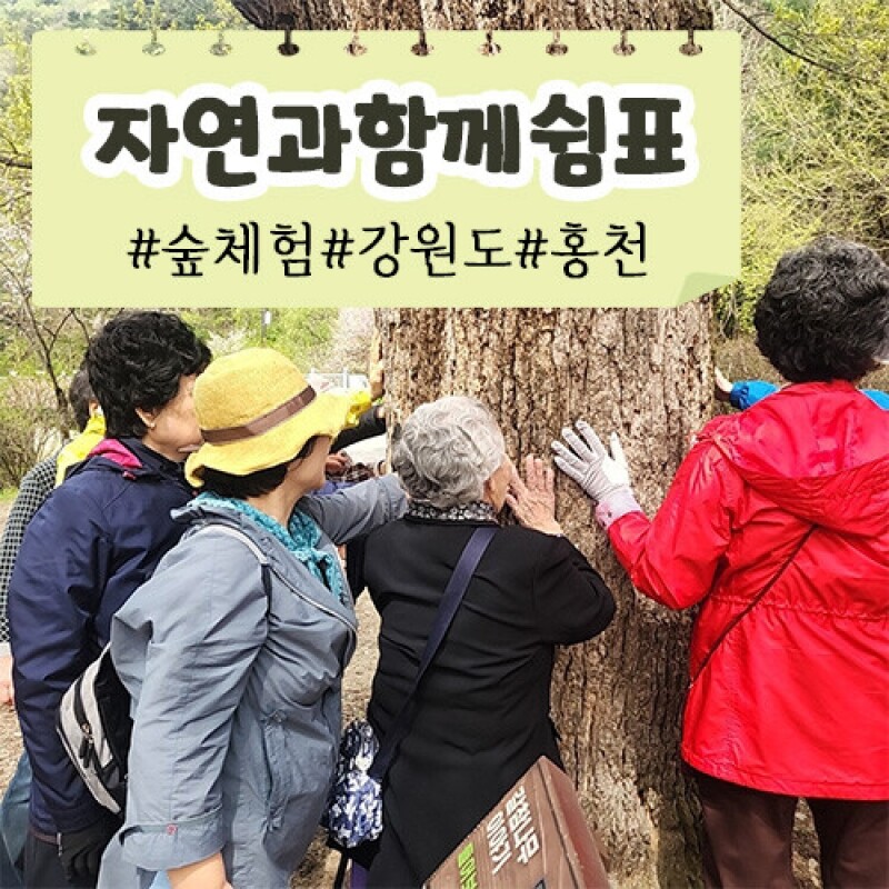 약리원,[자연과 함께 쉼표] 숲체험ㅣ강원도ㅣ홍천군