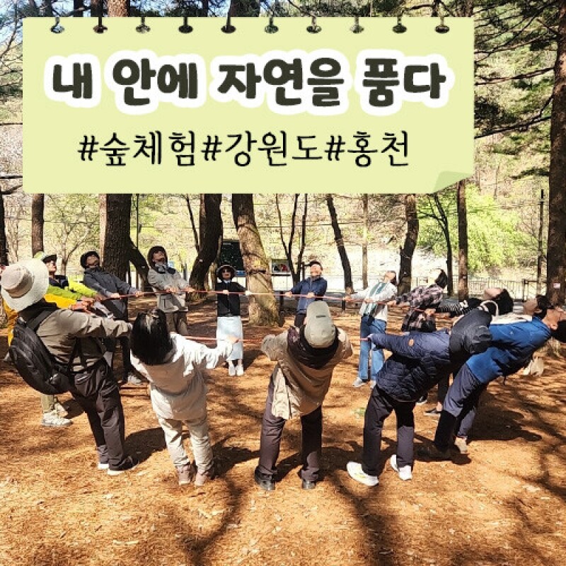 약리원,[로컬 특가세일][내 안에 자연을 품다] 숲체험ㅣ강원도ㅣ홍천군